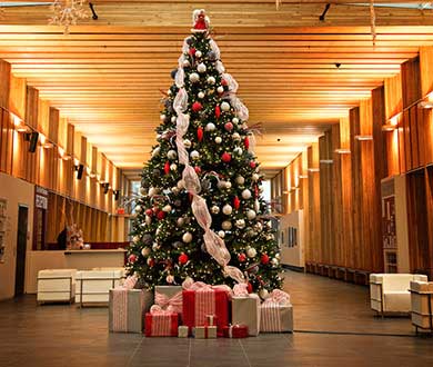 Интерьерные ёлки в Горно-Алтайске