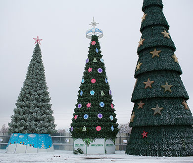 Каркасные ёлки в Горно-Алтайске