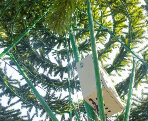 Каркасы для больших ёлок в Горно-Алтайске