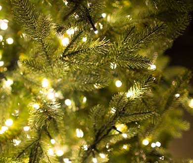 Искусственные световые ёлки в Горно-Алтайске