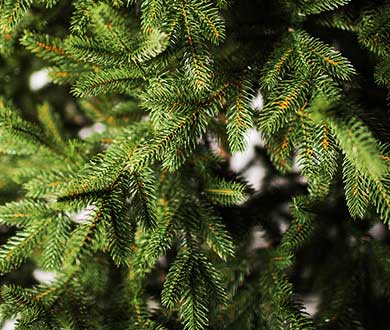 Искусственные ёлки люкс в Горно-Алтайске