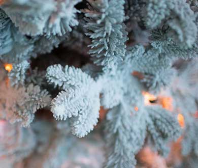 Искусственные заснеженные ёлки в Горно-Алтайске