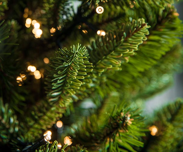 Гирлянды для комнатных ёлок в Горно-Алтайске