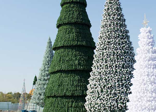 Высотные ёлки в Горно-Алтайске